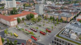 Hanau erhöht Bußgelder für Müll, Hundekot und Taubenfütterung ab 1. Februar