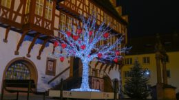 Hanau leuchtet bis 6. Januar: Spaziergang führt zu Lichtinstallationen und Wintermarkt