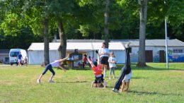 Hanau plant Ferienspiele 2026 unter dem Motto Safari im Großstadtdschungel