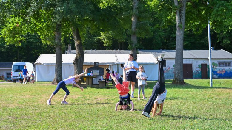 Hanau plant Ferienspiele 2026 unter dem Motto Safari im Großstadtdschungel