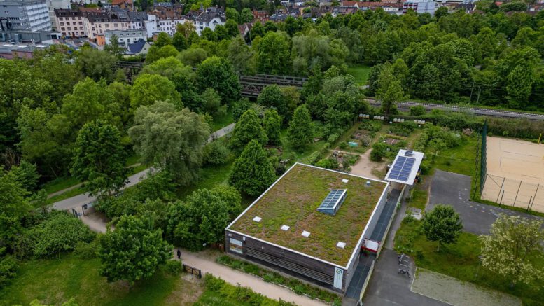 Hanau: Workshop zur Herstellung eigener Reinigungsmittel im Umweltzentrum