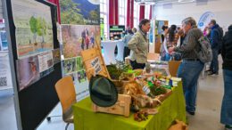 Hanauer Nachhaltigkeitsmesse 2026 rückt Artenvielfalt und lokale Verbindungen in den Mittelpunkt