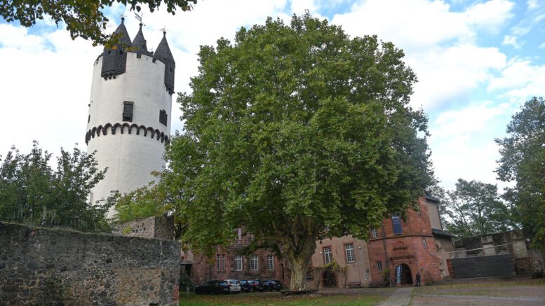Historischer Nachtwächter führt durch die Steinheimer Altstadt am 4. Februar