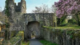 Steinheimer Stadtmauer: Reparatur großer Ausbruchstelle abgeschlossen, erste Schadenskartierung liegt vor Steinheimer Stadtmauer: Reparatur großer Ausbruchstelle abgeschlossen, erste Schadenskartierung liegt vor