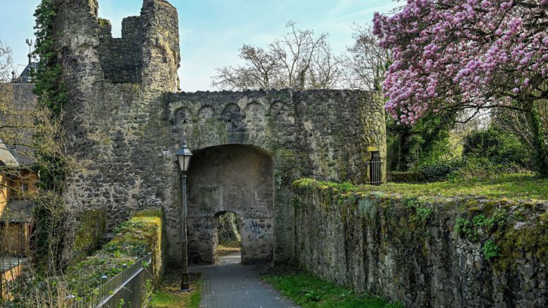 Steinheimer Stadtmauer: Reparatur großer Ausbruchstelle abgeschlossen, erste Schadenskartierung liegt vor